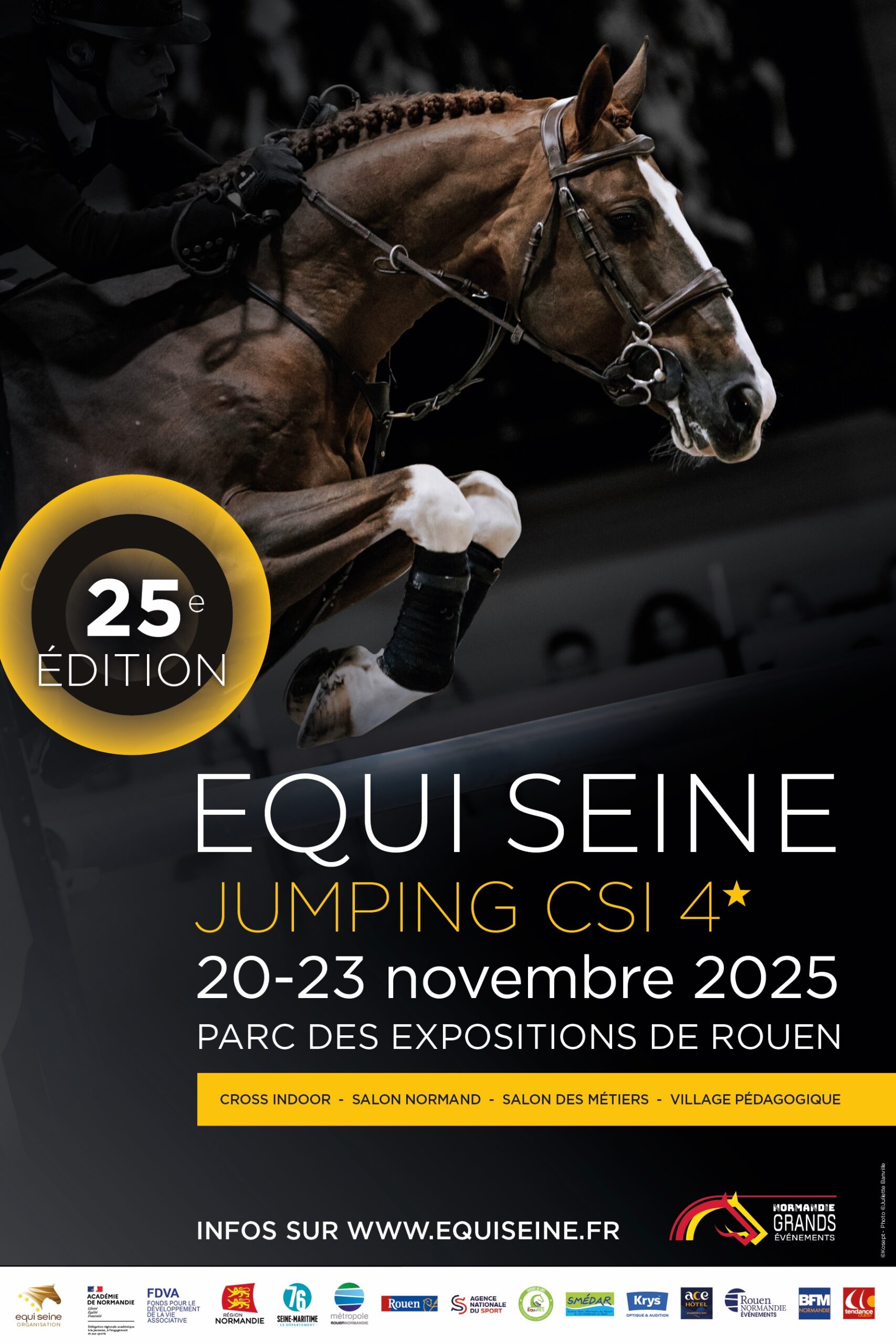 equiseine